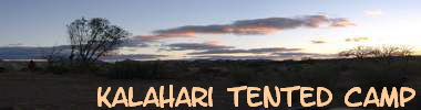 Kalahari Tented Camp