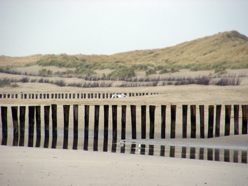 Ameland