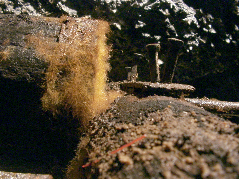Hilchenbach - Mine