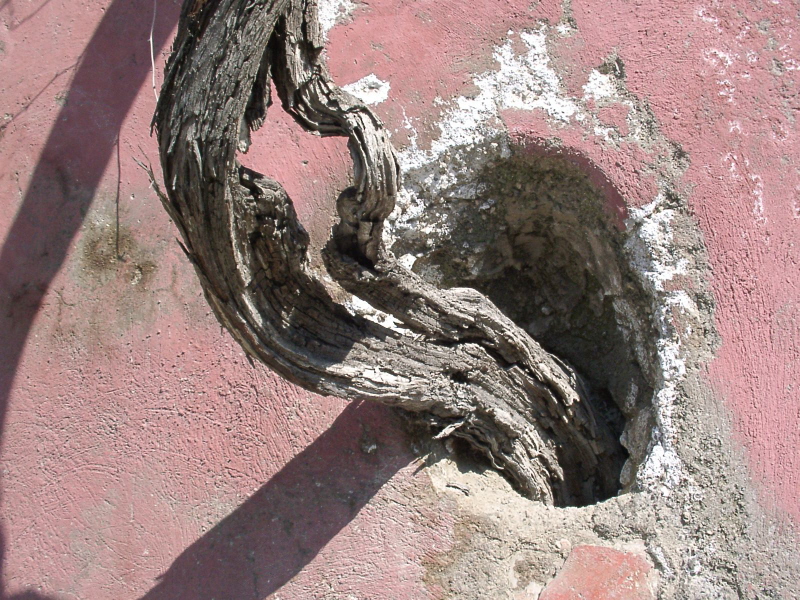 Ischia