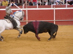Alhaurin El Grande - Stierkampf