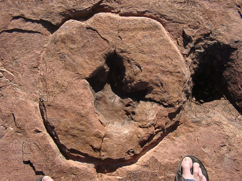 Namibia - Dinosaur's Footprints