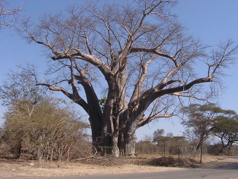 Simbabwe - Victoria Falls