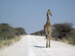 Namibia