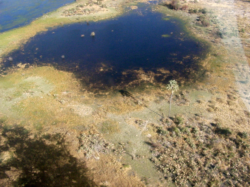 Botswana - Okavango Delta