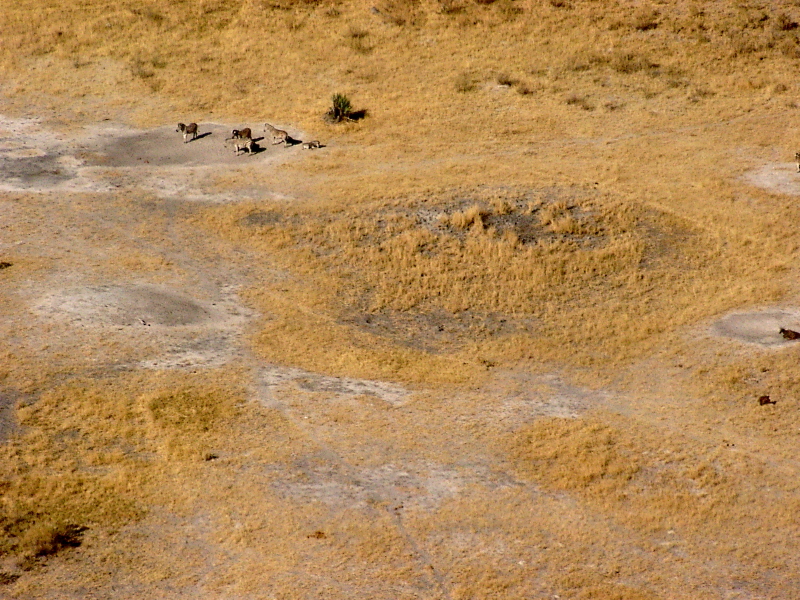 Botswana - Okavango Delta
