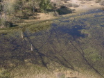 Botswana - Okavango Delta