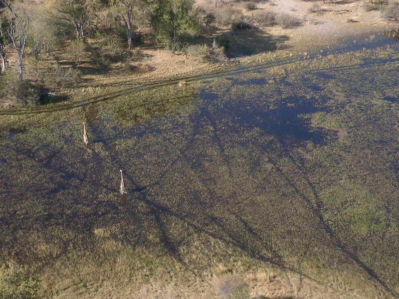 Botswana - Okavango Delta