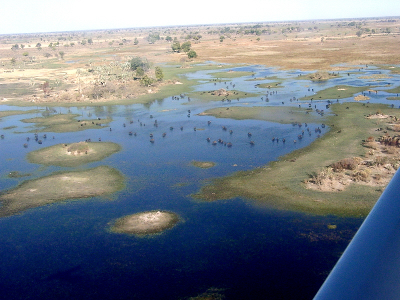 Botswana - Okavango Delta
