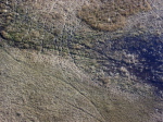 Botswana - Okavango Delta