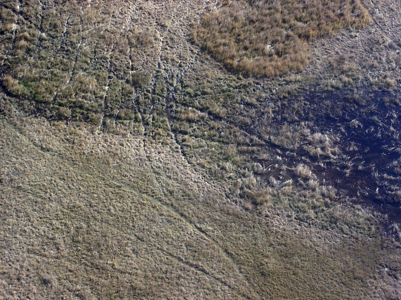 Botswana - Okavango Delta