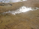 Botswana - Okavango Delta