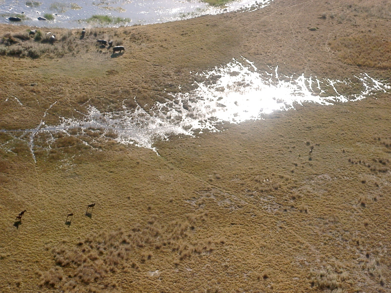 Botswana - Okavango Delta