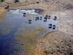 Botswana - Okavango Delta