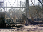 Namibia - Begegnung