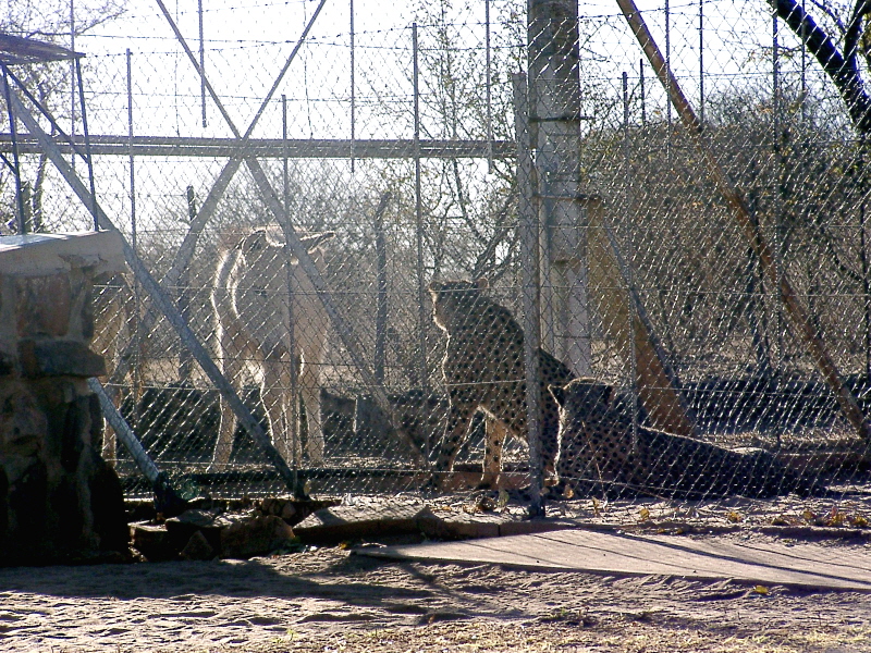 Namibia - Begegnung
