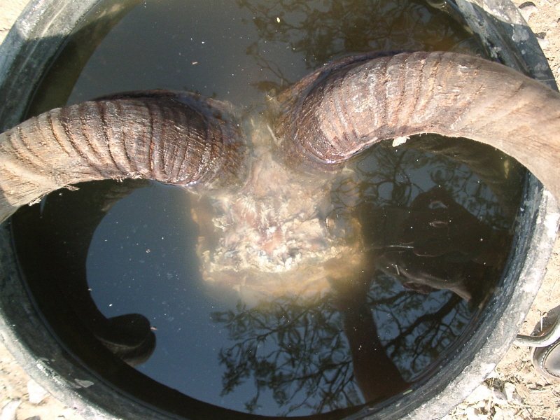 Namibia