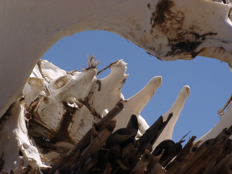 Namibia, Kiefer I